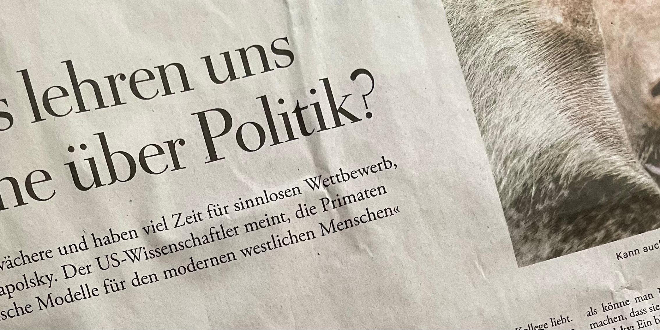 Schlagzeile
