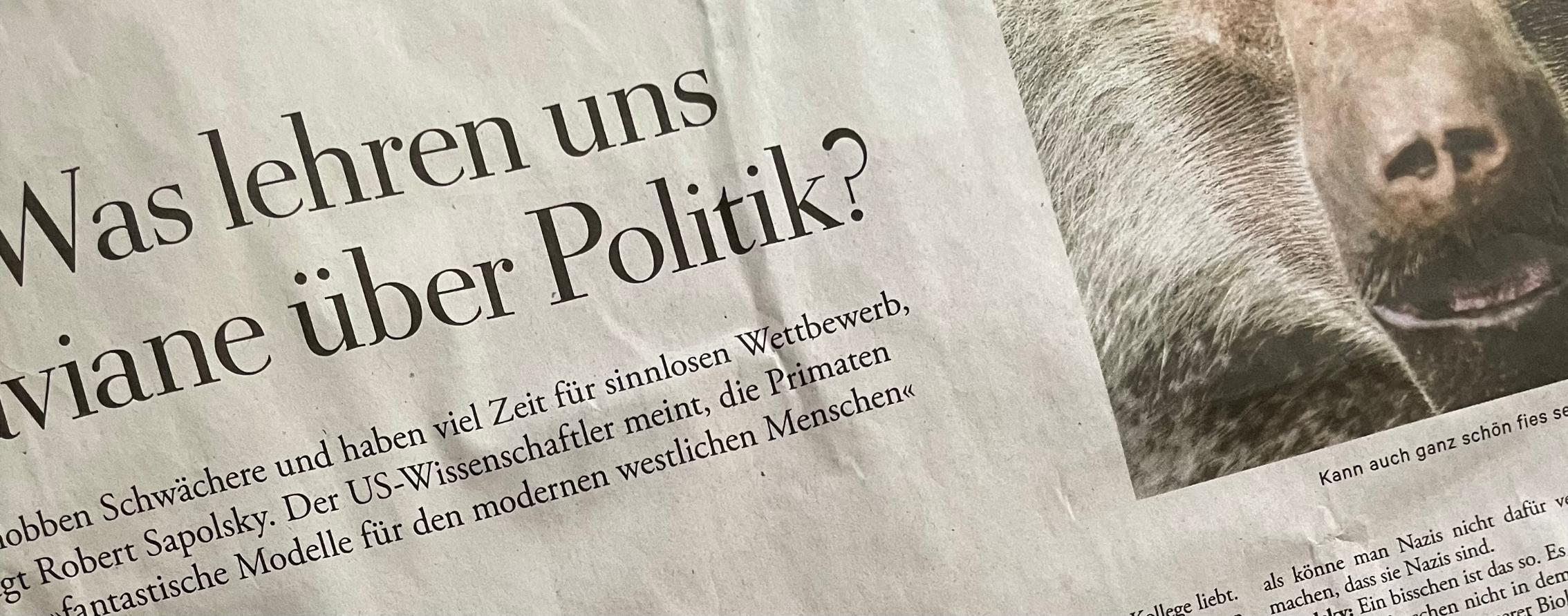 Schlagzeile