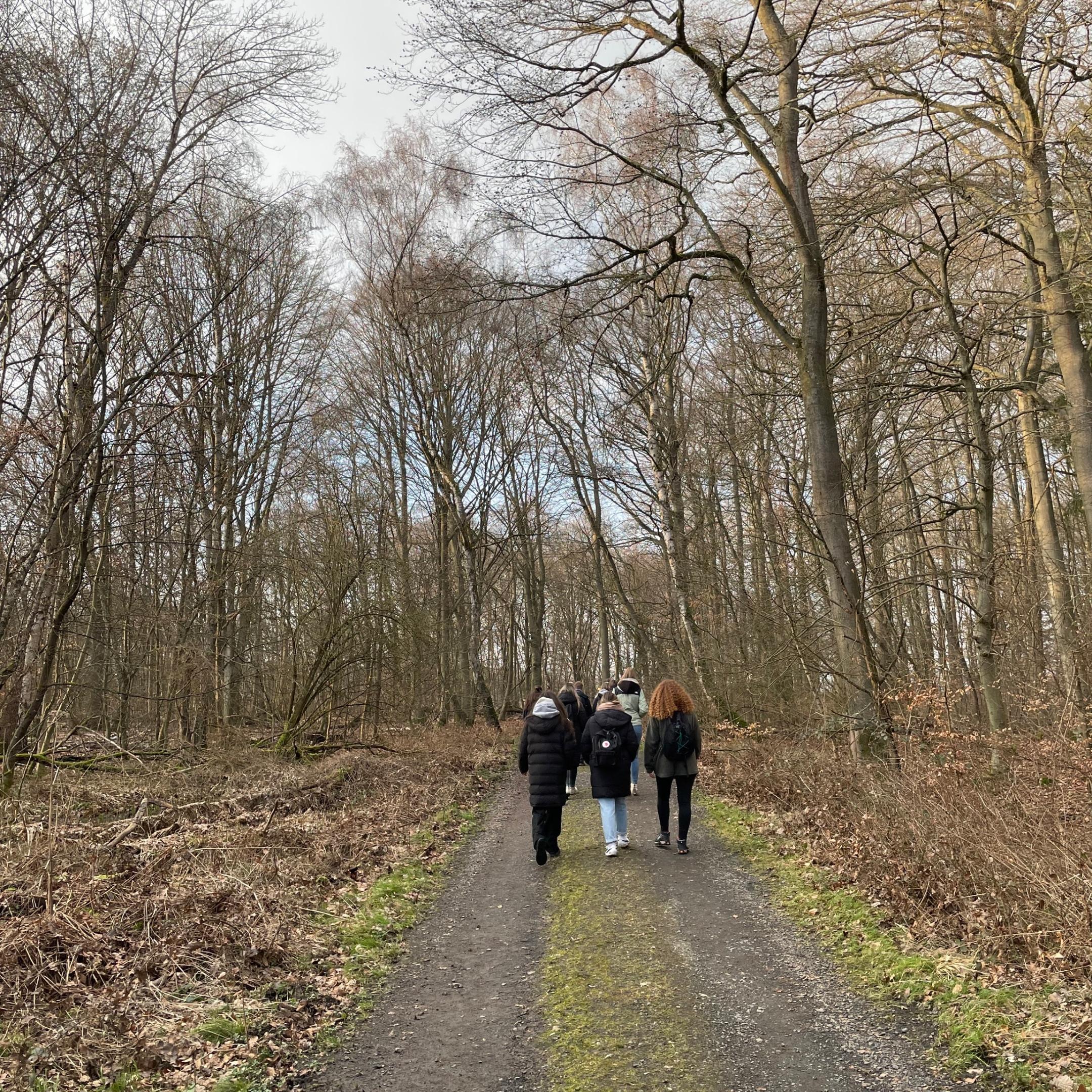 Studierende im Wald