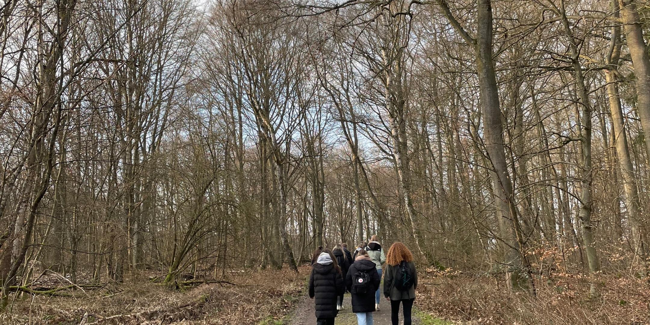Studierende im Wald