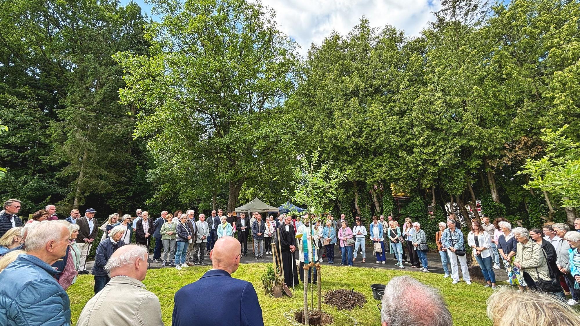 Nach dem Gottesdienst wurden auf dem ehemaligen Klostergelände ein Baum gepflanzt und gesegnet sowie symbolisch kleine Grundsteine für den Hospiz-Neubau gelegt.